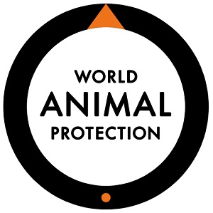 World Animal Protection Sverige